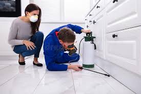 Emergency Pest Control in West Menlo Park, CA